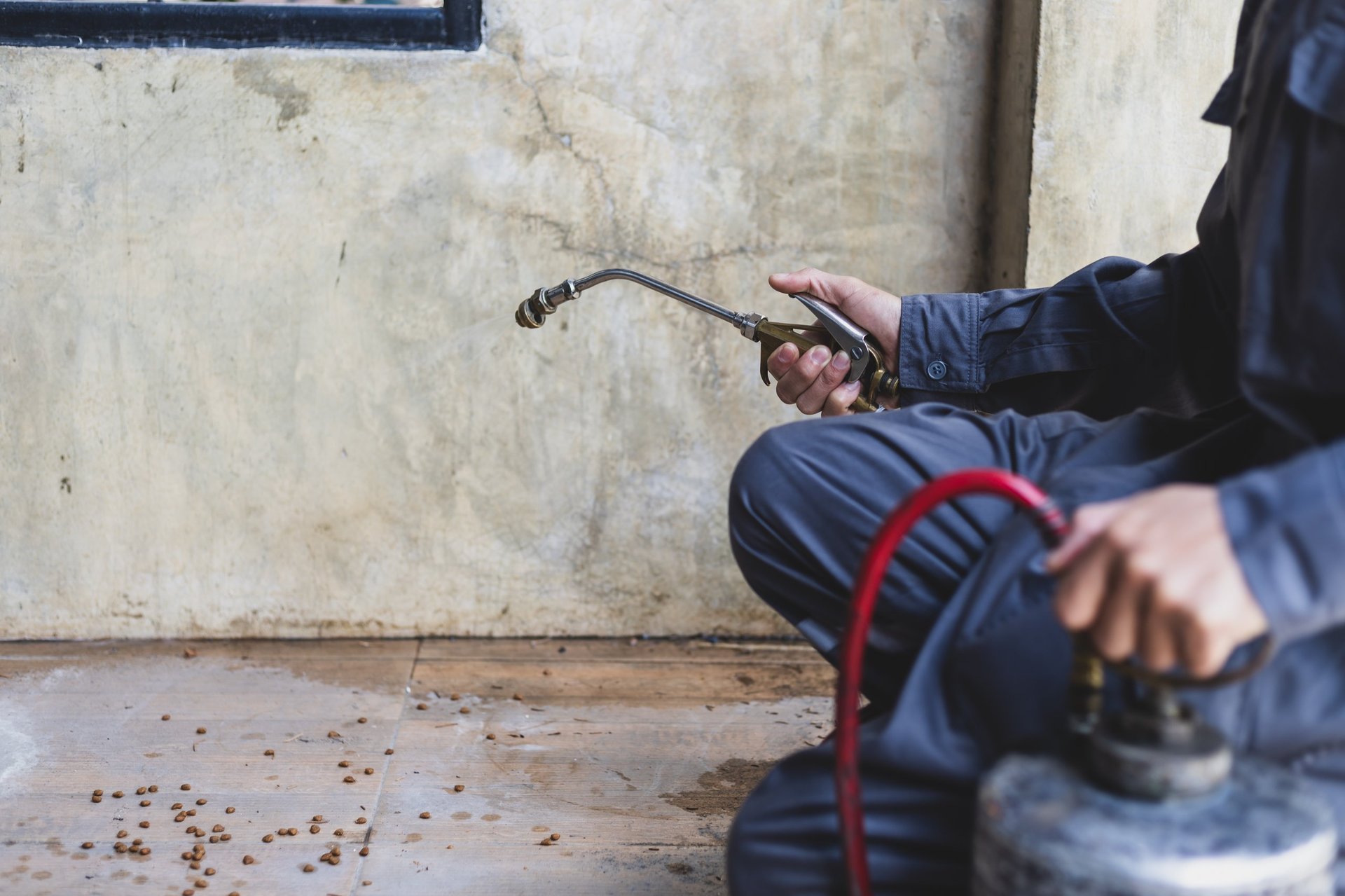 Professional exterminator spraying pesticide around a home foundation