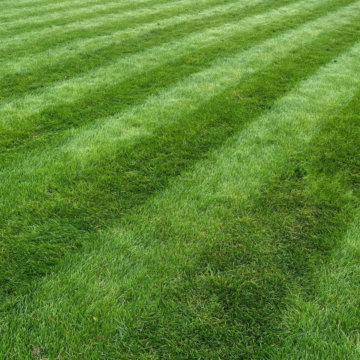 A full-frame shot of a lush green lawn mown in a traditional striped pattern.