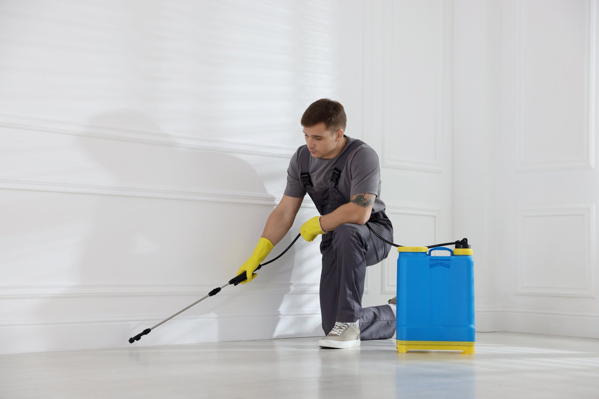 Pest control worker spraying insecticide in a room